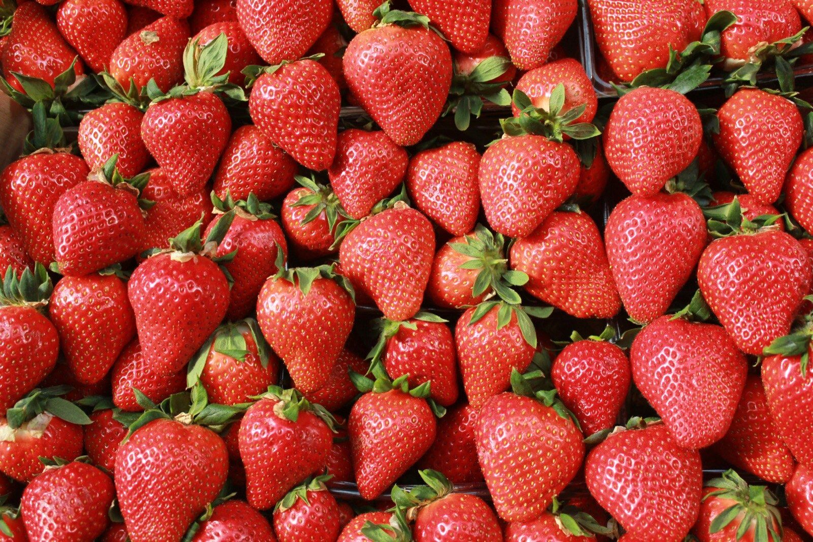 Berries