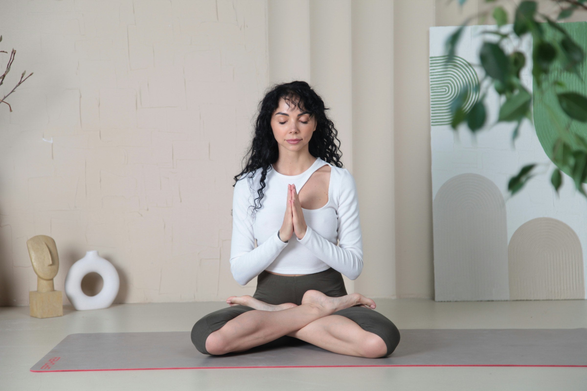 Membership in a wellness club, not a gym contract.